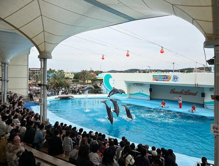 南知多ビーチランド だいすけお兄さんスペシャルステージ