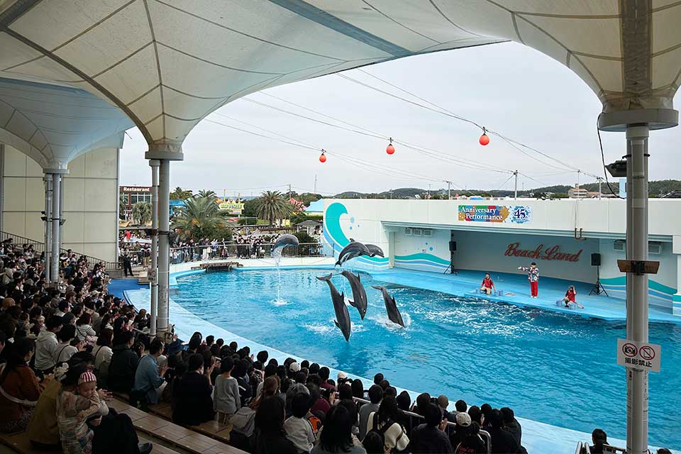 南知多ビーチランド だいすけお兄さんスペシャルステージ